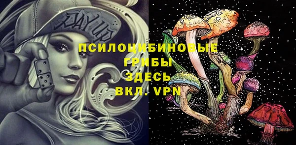 хмурый Абинск