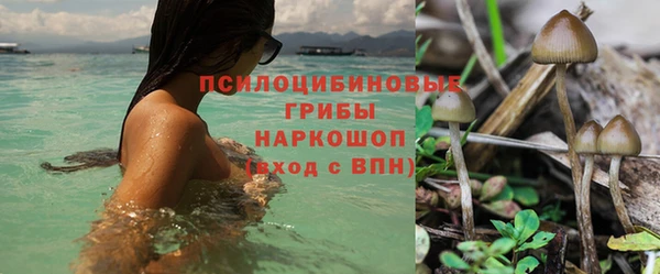 круглые Абаза