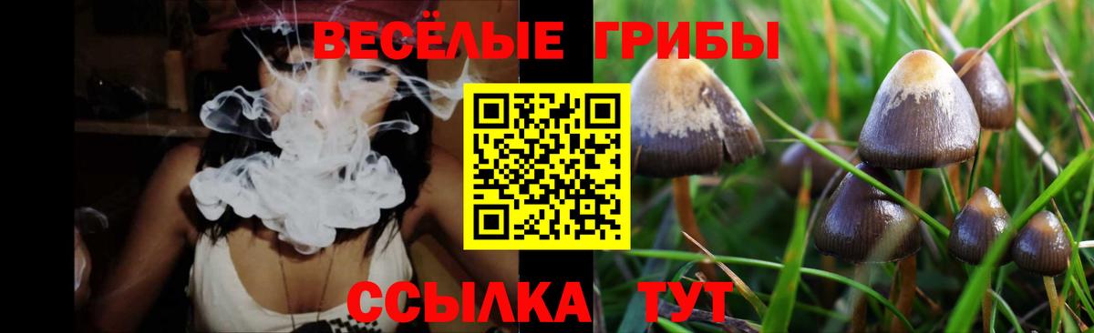 Галлюциногенные грибы Magic Shrooms  Вход с VPN  Кохма 